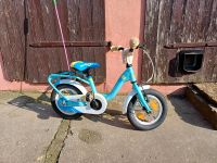 12 Zoll Kinderfahrrad S'cool NIXE Sachsen-Anhalt - Wittenberg Vorschau