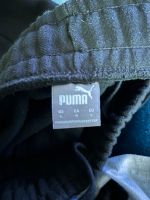 Puma Sporthose Hose Größe L Nordrhein-Westfalen - Bünde Vorschau