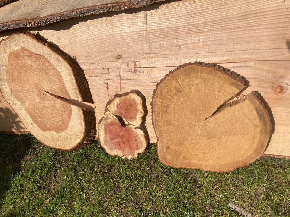 Holzscheiben Baumscheiben Holzdeko Hochzeitsdeko ab 50 Cent** in Klein Nordende