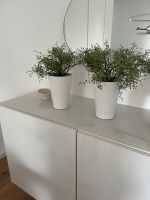 Ikea Fejka Pflanze künstlich Papaya übertopf weiß 6 Stück Bochum - Bochum-Wattenscheid Vorschau