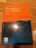 Übungsbuch zur Analysis 1 Forster Wessoly 4. Auflage Bayern - Griesstätt Vorschau