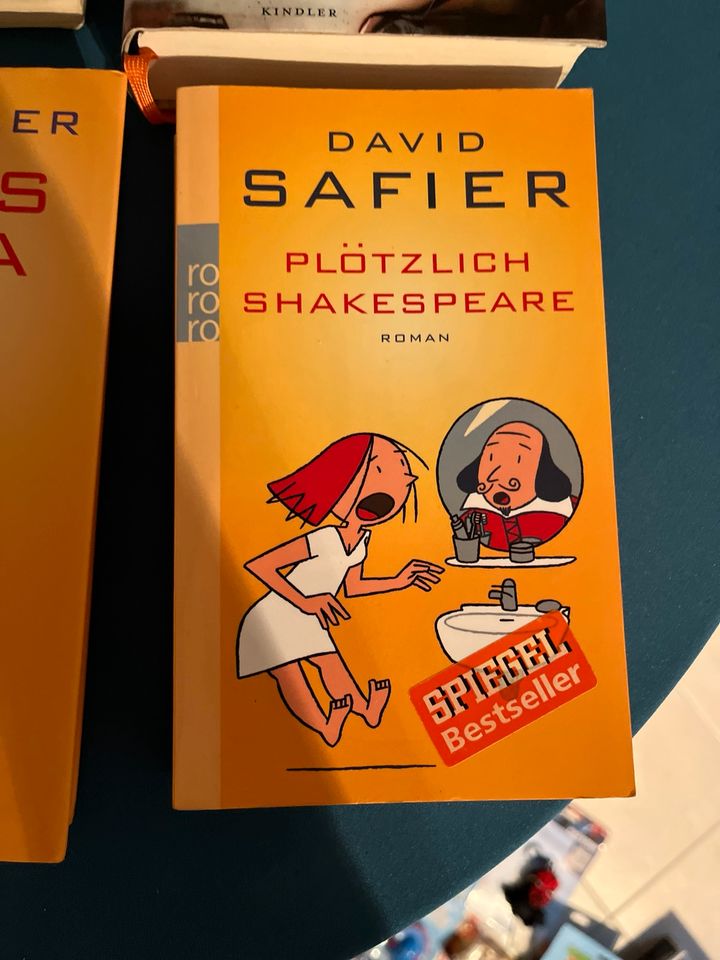 David Safier Bücher Sammlung (z.B. Mieses Karma) in Paderborn