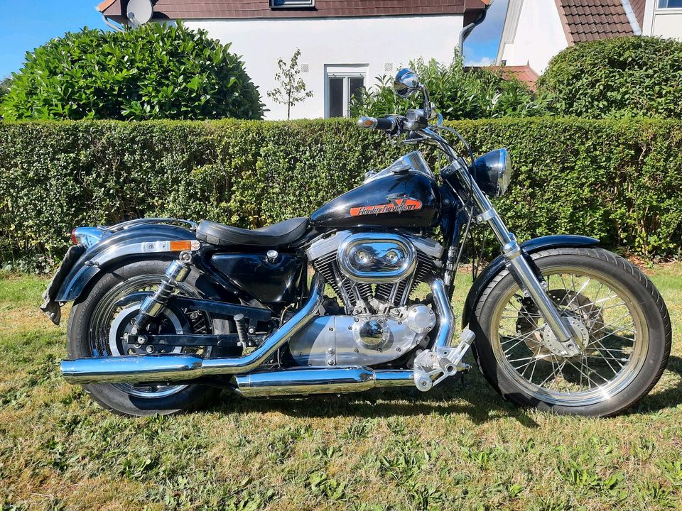 Harley Davidson Sportster 1200er in Holm