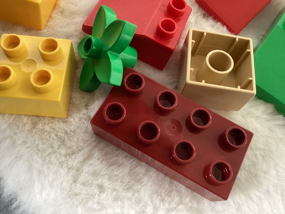 Lego Duplo Set ❤️ Tiere Eisenbahn Zirkus ❤️ Zoohandlung Figuren in Waldkirch