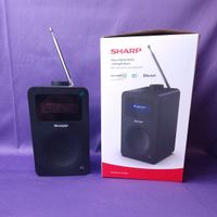 Sharp Digitalradio Tokyo – Midnight Black DR-430(BK)    NEU Nordrhein-Westfalen - Dinslaken Vorschau