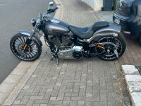 Harley Davidson breakout Softail fxsb teile Rheinland-Pfalz - Saulheim Vorschau