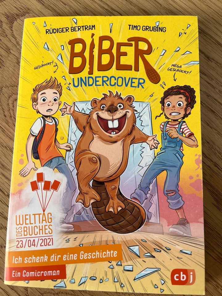 Biber undercover in Wangen im Allgäu