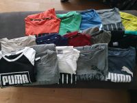 11 Original Puma T-Shirts Shirts, Größe L, auch einzeln abzugeben Brandenburg - Bernau Vorschau