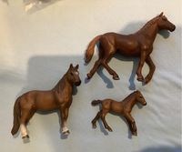 Schleich Pferde Set Nordrhein-Westfalen - Hilchenbach Vorschau