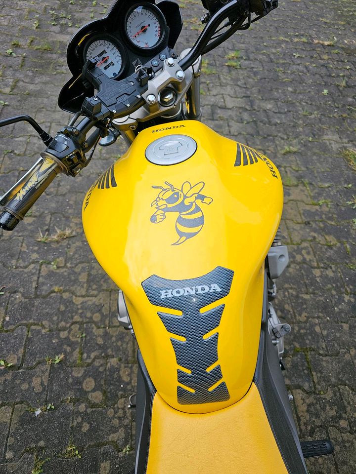 Honda Hornet  CB600F PC36 in Ebersberg