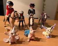 Playmobil & Schleich Mecklenburg-Strelitz - Landkreis - Wulkenzin Vorschau