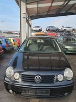 Schlachtfest! VW Polo 9N1 1,4l Benzin KW55 PS75 Bj. 06/2003 Nordrhein-Westfalen - Hünxe Vorschau