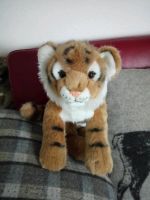 Braunes,  Tigerbaby von WWF, N E U, unbespielt Baden-Württemberg - Wittnau Vorschau