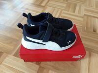 Sneaker/ Sportschuhe/ Hallen-Turnschuh Marke Puma Gr. 31 Bielefeld - Heepen Vorschau