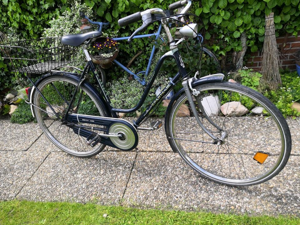 26 Damen Sparta Fahrrad in Stedesdorf