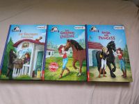 Kinderbuch Buch Bücher Horse Club 3 Stück Thüringen - Saalfeld (Saale) Vorschau