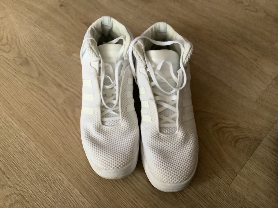 Herren Sneaker von Adidas Sneaker high in weiß Größe 46 in Mering