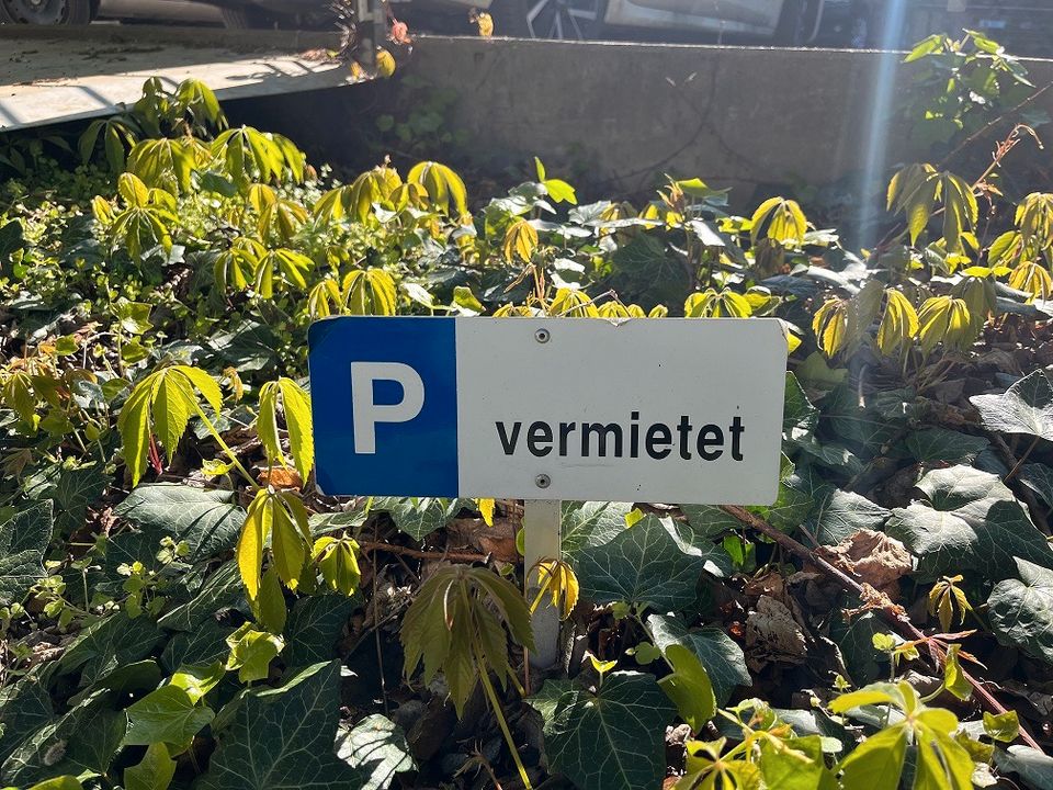 Großzügige 4-Raum Wohnung am Großen Garten ! in Dresden