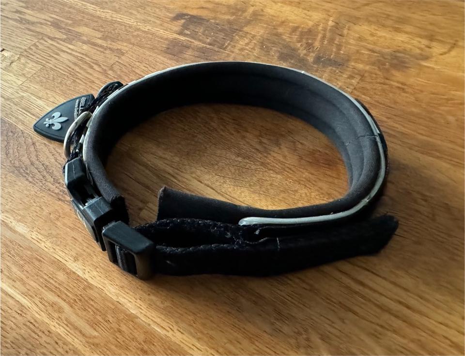Bellomania Zebra Halsband Hundehalsband 2,5 cm breit 33-38 cm in Gedern