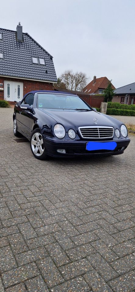 Mercedes Benz CLK Cabrio Avantgarde (W 208) in Wilhelmshaven