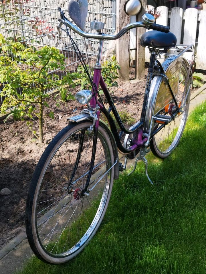 Fahrrad Damenfahrrad WITTEKIND DE LUXE in Essen (Oldenburg)