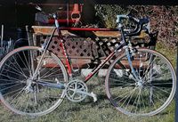 Wunderschönes Oldtimer Rennrad von Rickert Dortmund - Innenstadt-West Vorschau