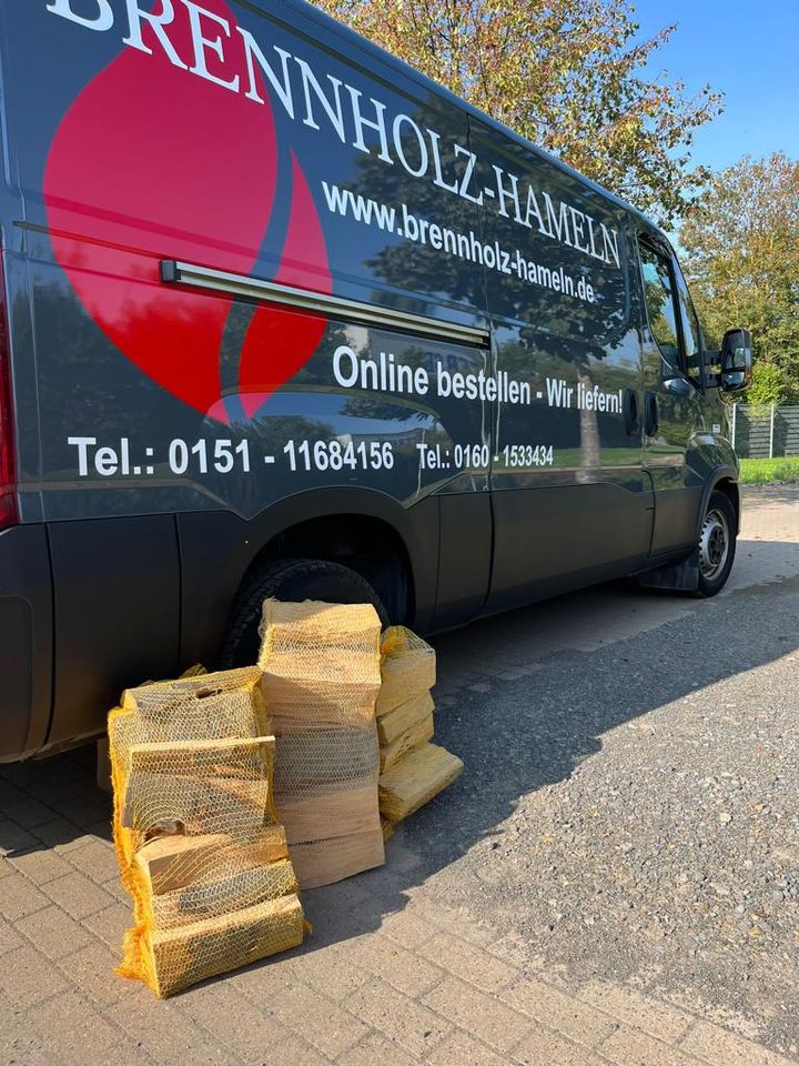 Brennholz Kaminholz Buche Holzminden, Höxter und Umkreis in Holzminden