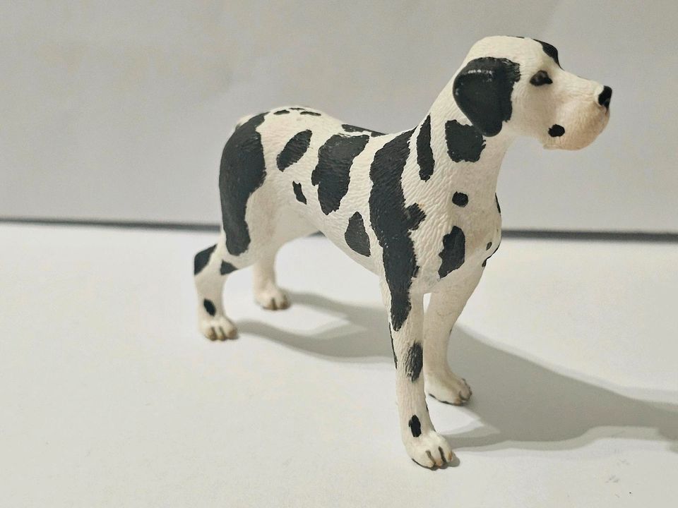 Deutsche Dogge Schleich Neuwertig in Darmstadt