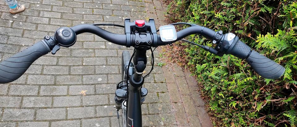 Fahrrad Rixe Toulouse  Damenrad 60er Rahmen XXL tiefer Einstieg in Südbrookmerland