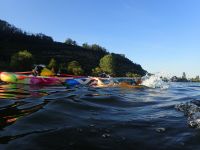 SUP Stand up paddle Austausch Koblenz+Umgebung/ gemeinsame Fahrt Rheinland-Pfalz - Koblenz Vorschau