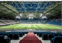 Schalke Fan Stadion Tapete Nordrhein-Westfalen - Gelsenkirchen Vorschau