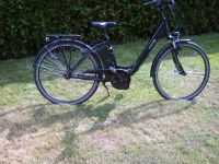 Trekking E.Bike28 Zoll Prophete mit Schiebehilfe Kreis Pinneberg - Rellingen Vorschau