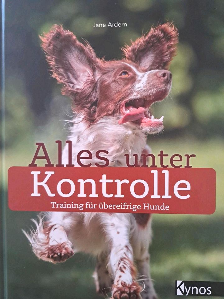 Alles unter Kontrolle. Training für übereifrige Hunde in Frankfurt am Main