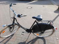 Gazelle Fahrrad Niedersachsen - Lindern (Oldenburg) Vorschau