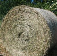 Heu und Silage Rundballen Sachsen - Wohlbach Vorschau