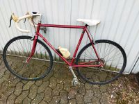 Rennrad Raleigh 501 Cromally Vintage antik gut erhalten 26? Zoll Nordrhein-Westfalen - Wülfrath Vorschau