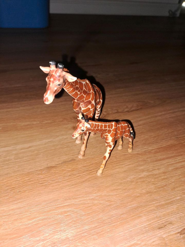 Schleich Tiere Katze Hund Giraffe Elefant Igel Bär Kängurus  Affe in Hagenow