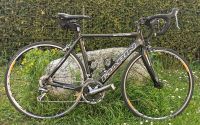 Federleicht Vollcarbon MARIN Stelvio 2500€ ULTEGRA Canyon Gravel Berlin - Steglitz Vorschau