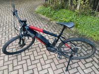 E-Bike Trek Powerfly 4 Bayern - Kleinkahl Vorschau