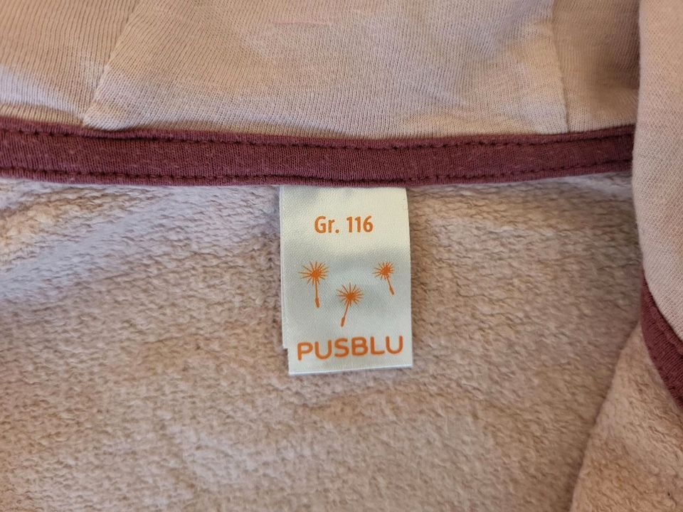 Sweatshirtjacke/ Jacke von Pusblu 116 in Leichlingen