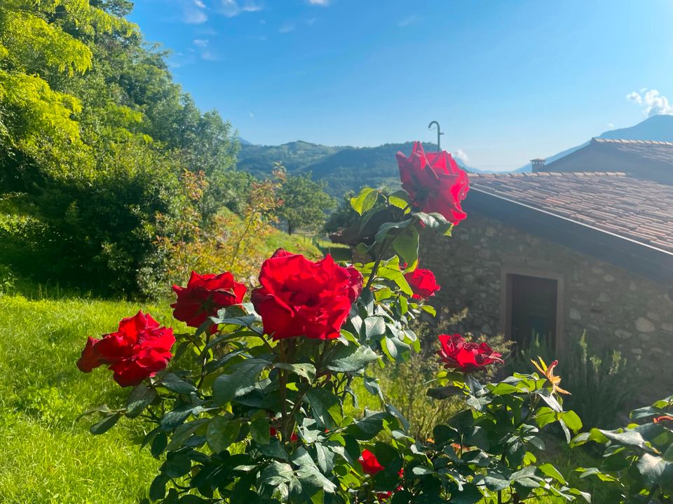 schöne Ferienwohnung, ruhige Lage am Gardasee in Kaufbeuren