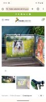 Suche Hunde Campingzaun Lite Mod Guard Nordrhein-Westfalen - Schwerte Vorschau