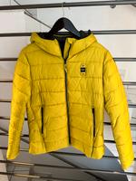 Blauer USA Winterjacke L Nordrhein-Westfalen - Rheine Vorschau