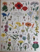 Puzzle Cavallini Wildflowers Hessen - Friedberg (Hessen) Vorschau