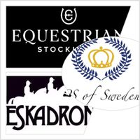 SUCHE Tausch partner Eskadron PS of Sweden Equestrian Stockholm Thüringen - Stadtroda Vorschau