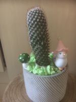 Kaktus mit Töpfen und Figurenkompilat Köln - Vingst Vorschau