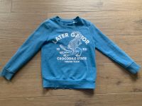Pullover hellblau Gr. 134 Krokodil Für Junge & Mädchen Nordrhein-Westfalen - Schwerte Vorschau