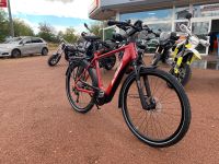 KTM Macina Tour P510 Diamant Gr. 60/XL 500Wh 65NM Sachsen-Anhalt - Aschersleben Vorschau