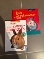 Bücher Zwergkaninchen Bayern - Dorfprozelten Vorschau