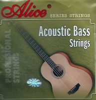 Acoustic Bass Strings Bayern - Ingolstadt Vorschau